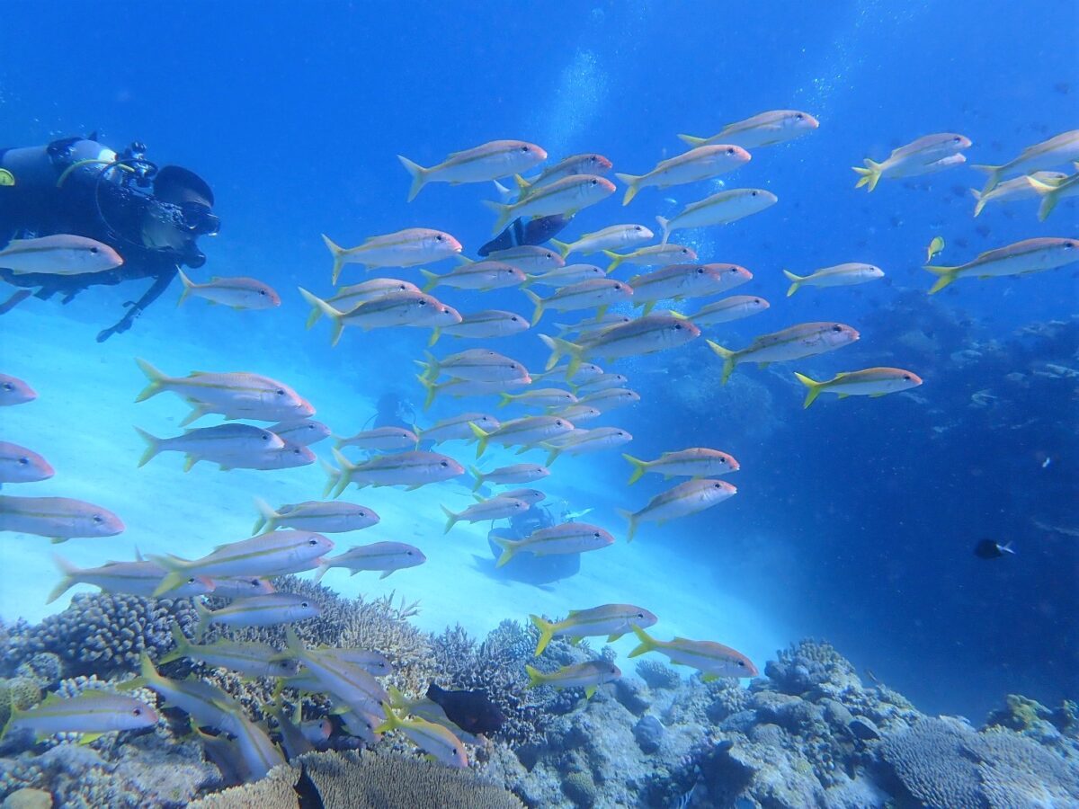 KJ MARINE｜沖繩慶良間海上活動 / 私人遊輪與水上摩托艇飛板 photo