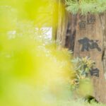 檜湯の宿 松伯|穂高温泉郷の総檜風呂・日帰り入浴と登山拠点