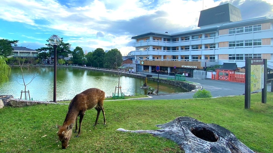 Hotel Tenpyo Naramachi｜近鐵奈良站步行5分鐘・猿澤池與奈良公園住宿