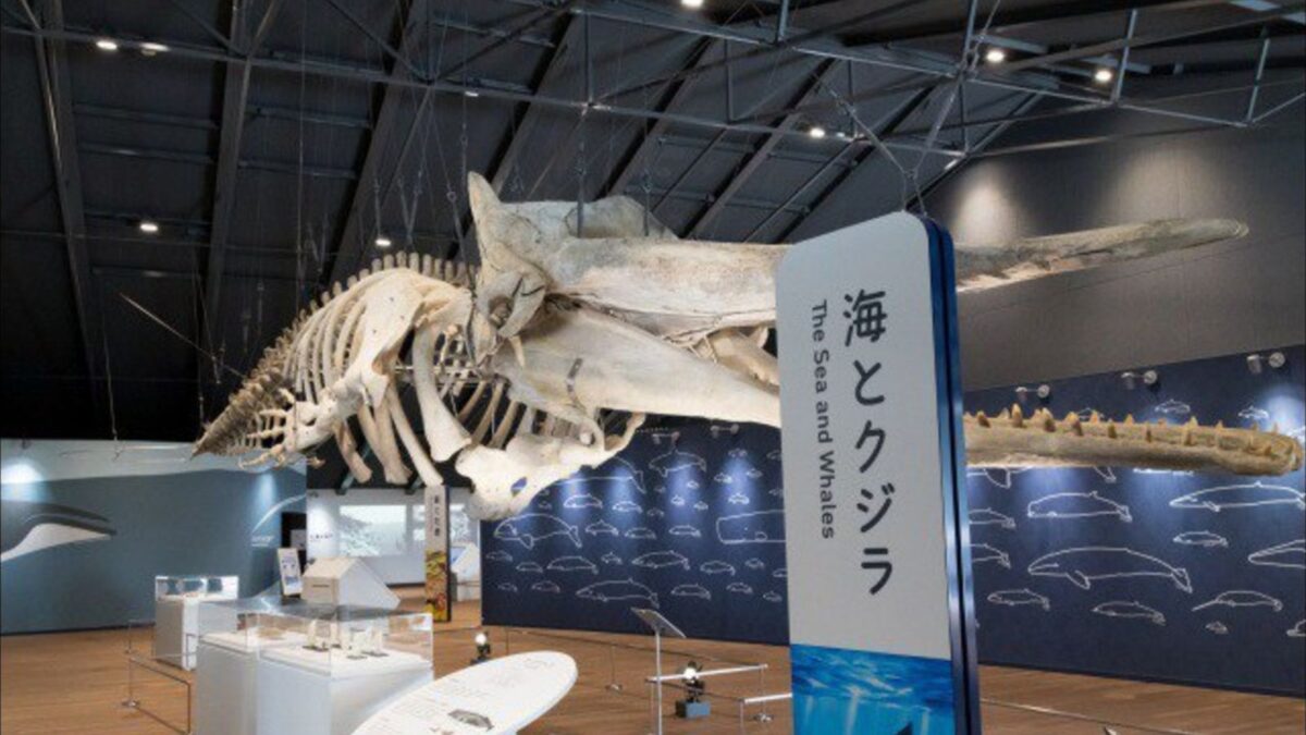 島周の宿 さか井|金華山を望む牡鹿半島の海鮮料理宿 photo