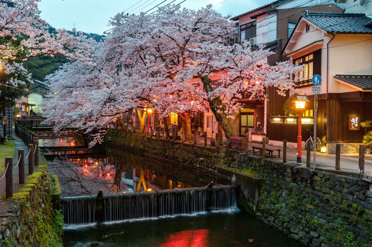 Oyado Seri｜兵庫城崎溫泉美食旅館 / 但馬牛與津居山蟹 photo
