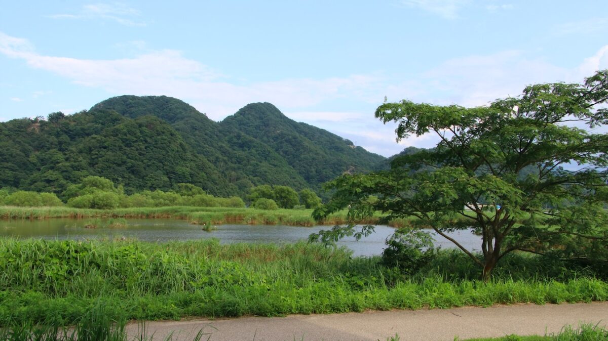 Oyado Seri｜兵庫城崎溫泉美食旅館 / 但馬牛與津居山蟹 photo