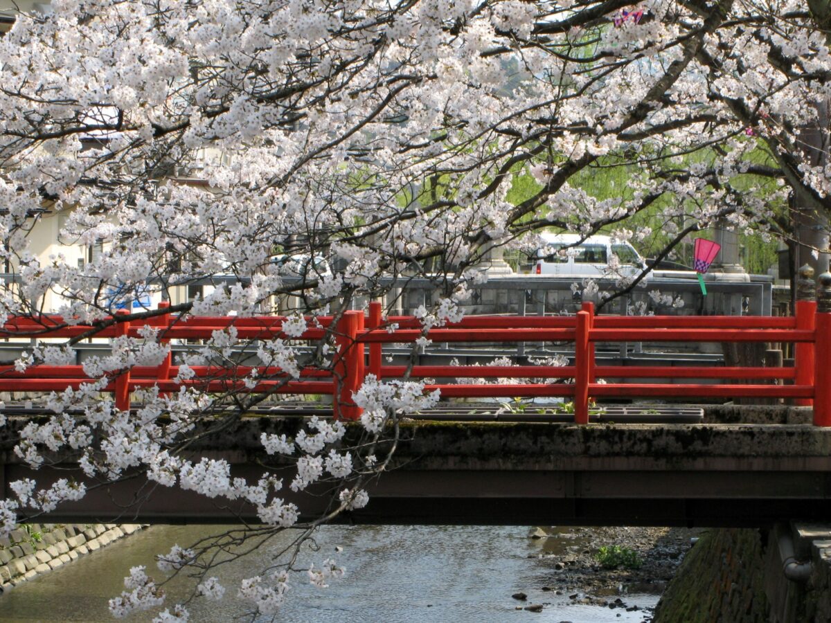 Oyado Seri｜兵庫城崎溫泉美食旅館 / 但馬牛與津居山蟹 photo