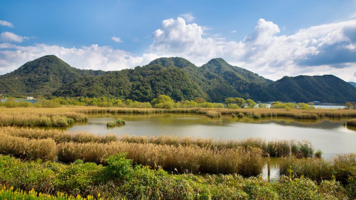 Oyado Seri｜兵庫城崎溫泉美食旅館 / 但馬牛與津居山蟹 photo