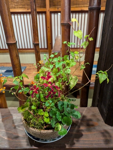 Onyado Ichifuji｜溫泉旅館 / 私人露天浴池與鄉村美食 photo