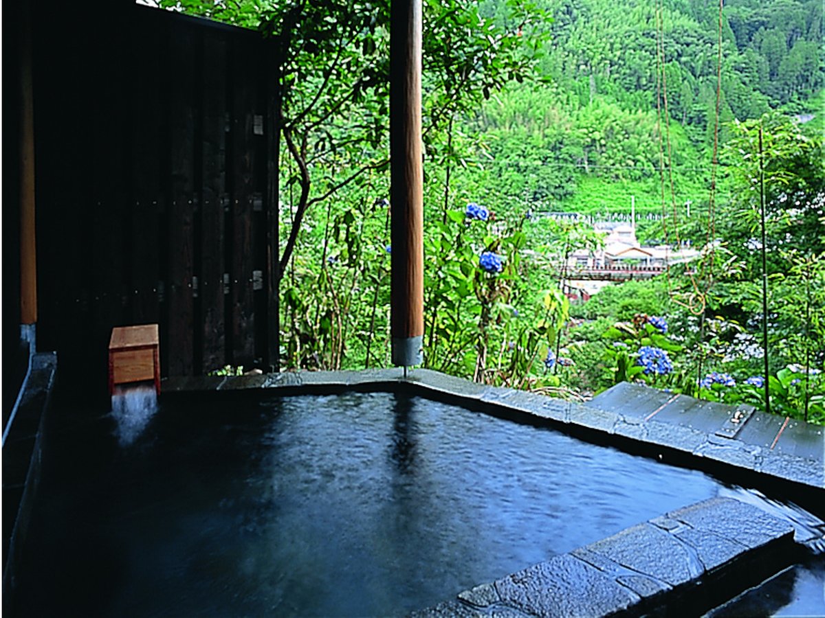 Ukiha Annex Shinshiyo｜天瀨溫泉河景旅館 / 露天浴池客房與繡球花 photo