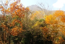 Kaze no Sato｜大分由布院塚原高原 / 自然中的包場別墅 photo