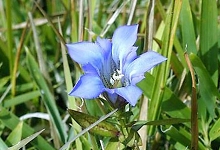 Kaze no Sato｜大分由布院塚原高原 / 自然中的包場別墅 photo