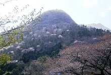 Kaze no Sato｜大分由布院塚原高原 / 自然中的包場別墅 photo