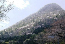 Kaze no Sato｜大分由布院塚原高原 / 自然中的包場別墅 photo