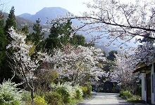 Kaze no Sato｜大分由布院塚原高原 / 自然中的包場別墅 photo