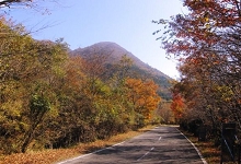 Kaze no Sato｜大分由布院塚原高原 / 自然中的包場別墅 photo