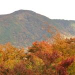 ホテルマロウド箱根|強羅送迎と白濁の源泉かけ流し温泉
