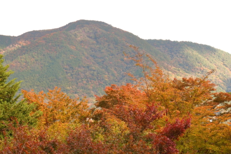 ホテルマロウド箱根｜強羅送迎と白濁の源泉かけ流し温泉 photo