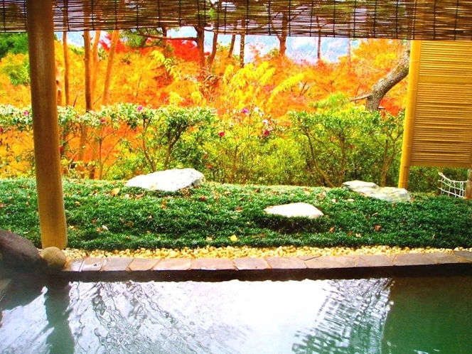ホテルマロウド箱根｜強羅送迎と白濁の源泉かけ流し温泉 photo
