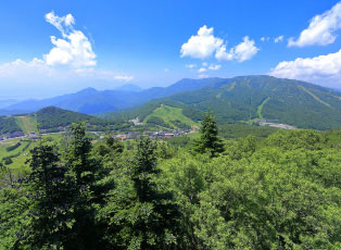 ひがしだて｜志賀高原発哺温泉と北アルプス絶景の宿 photo
