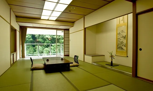 横谷温泉旅館|蓼科・横谷渓谷の黄金色の自家源泉と露天風呂 photo