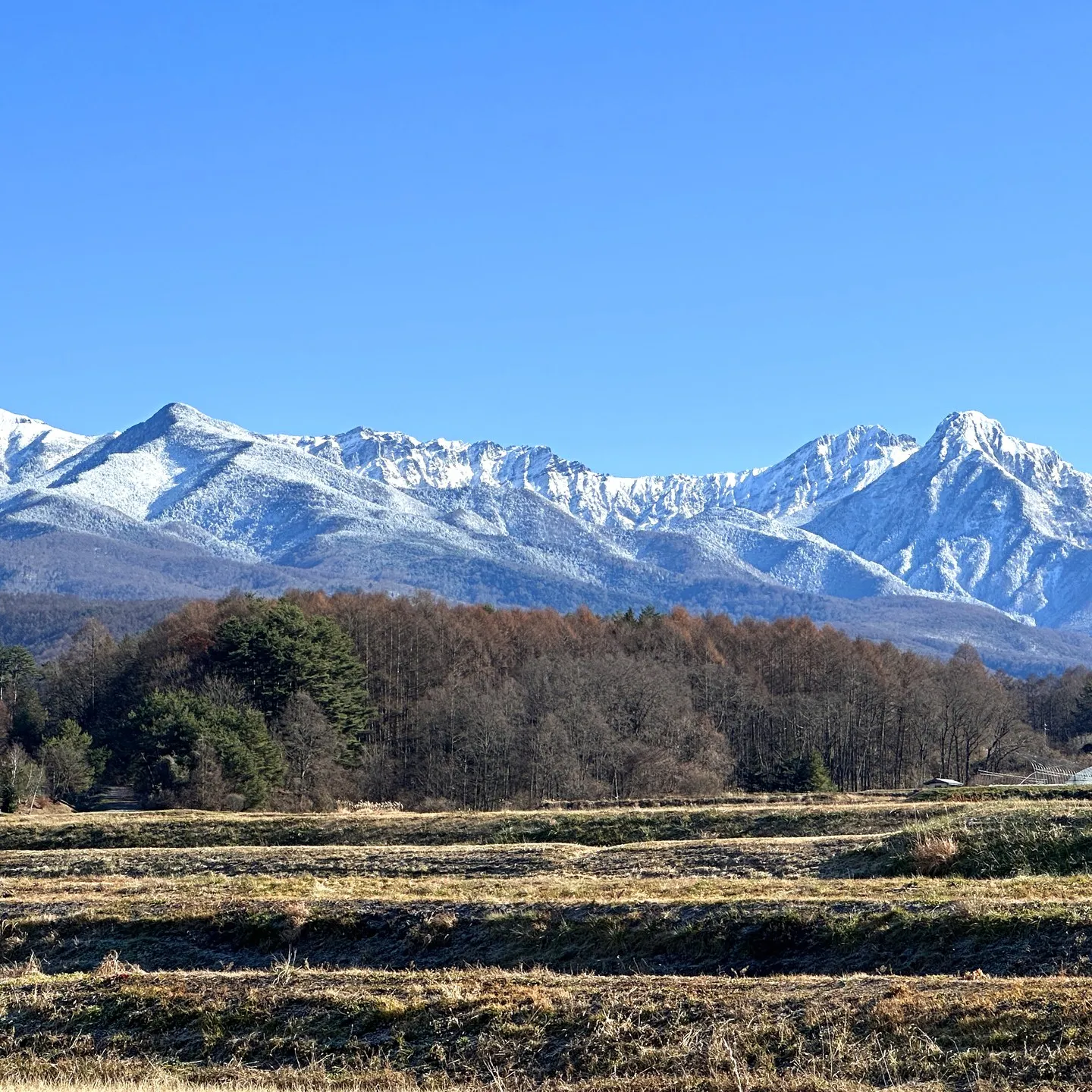 横谷温泉旅館|蓼科・横谷渓谷の黄金色の自家源泉と露天風呂 photo