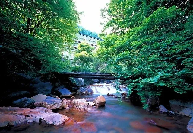 横谷温泉旅館|蓼科・横谷渓谷の黄金色の自家源泉と露天風呂 photo