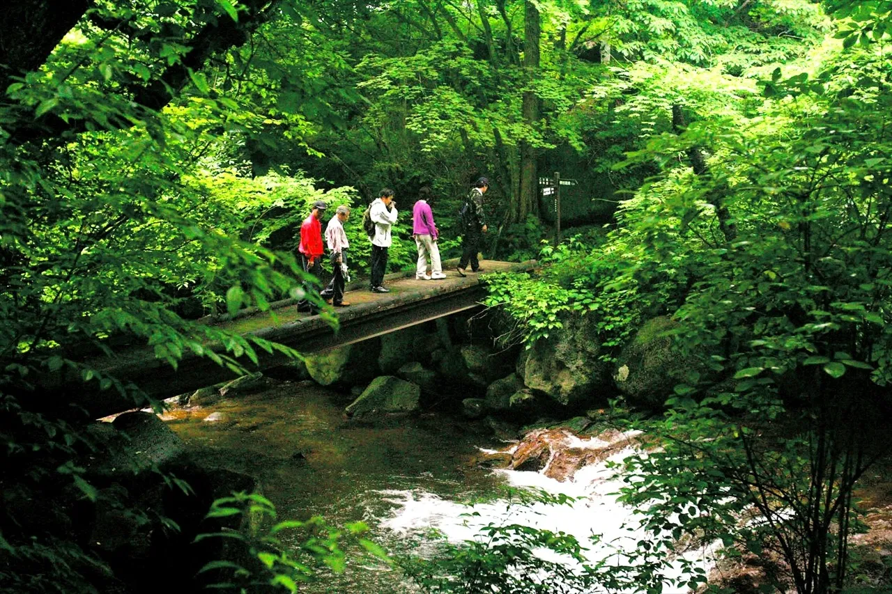 横谷温泉旅館|蓼科・横谷渓谷の黄金色の自家源泉と露天風呂 photo