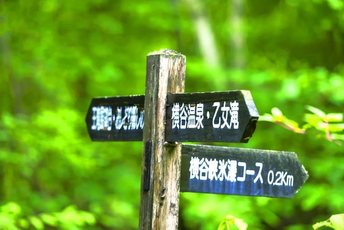 横谷温泉旅館|蓼科・横谷渓谷の黄金色の自家源泉と露天風呂 photo