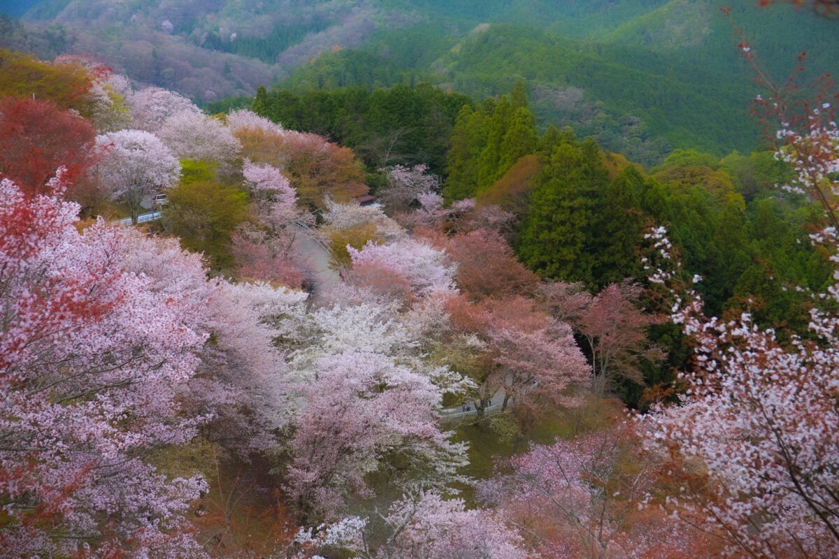 吉野温泉元湯