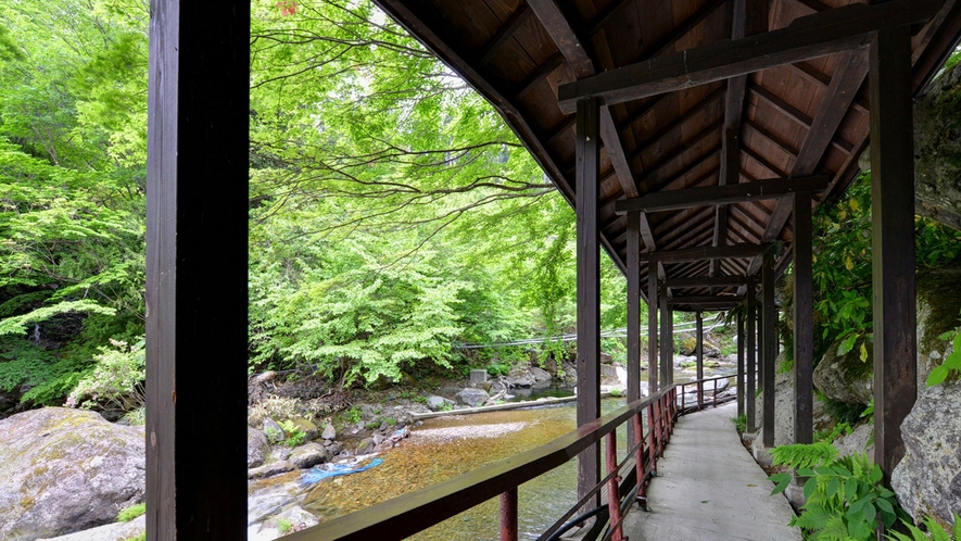 二岐温泉 柏屋旅館｜5つの源泉と足元自噴巌風呂の秘湯宿 photo