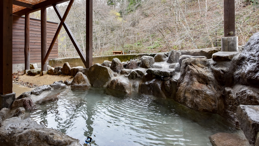 二岐温泉 柏屋旅館｜5つの源泉と足元自噴巌風呂の秘湯宿 photo