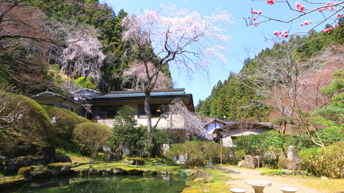 Yoshino Onsen Motoyu｜吉野山世界遺產溫泉旅館 / 源泉100%與懷石料理 photo