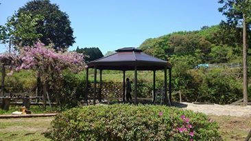 あさぎり山荘ひばり｜地熱利用の宿・球磨産杉の客室と郷土料理 photo