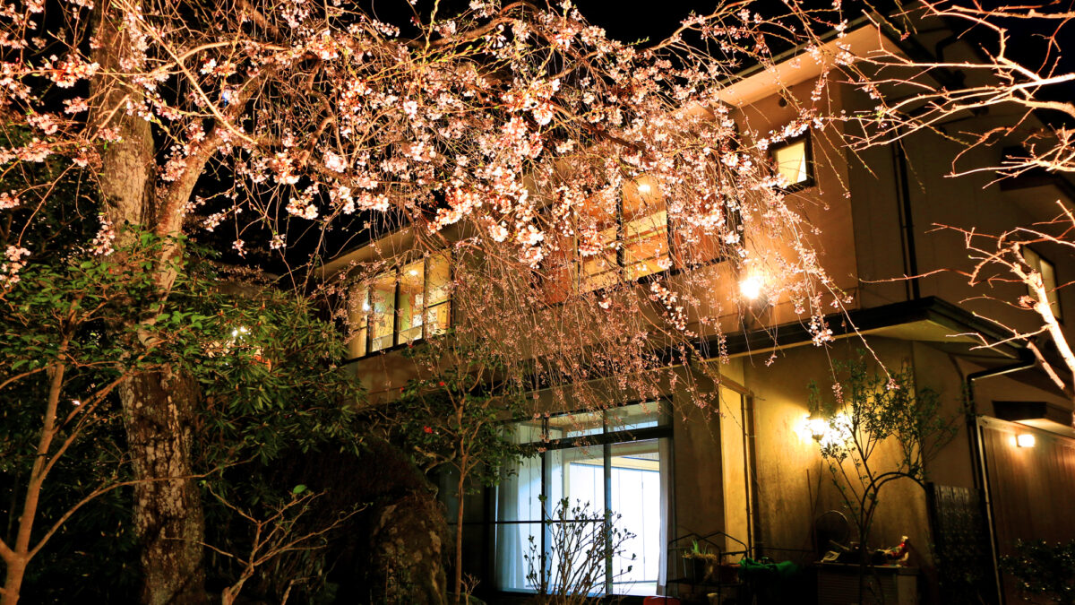 Yoshino Onsen Motoyu｜吉野山世界遺產溫泉旅館 / 源泉100%與懷石料理 photo