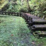 羽州路の宿あいのり|赤湯・源泉かけ流し・客室露天・日帰り温泉