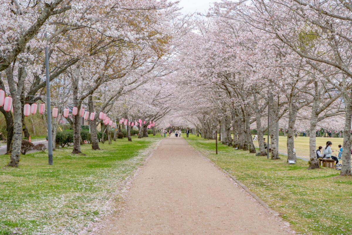 忠元公園