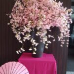 カーサホテル新白河 photo