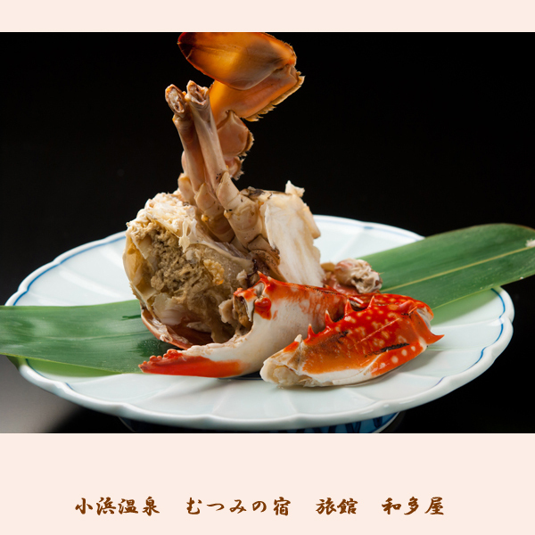 むつみの宿 旅館 和多屋｜小浜温泉の家庭的な宿と部屋食会席 photo