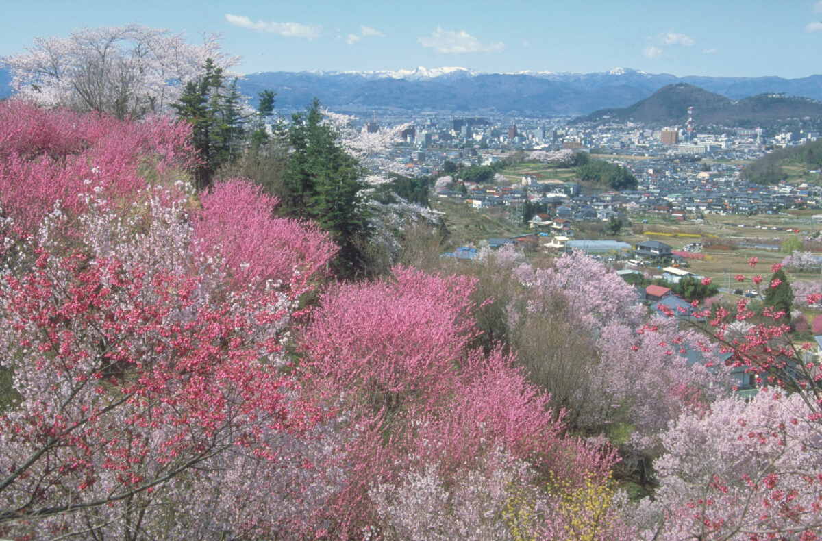 花見山公園