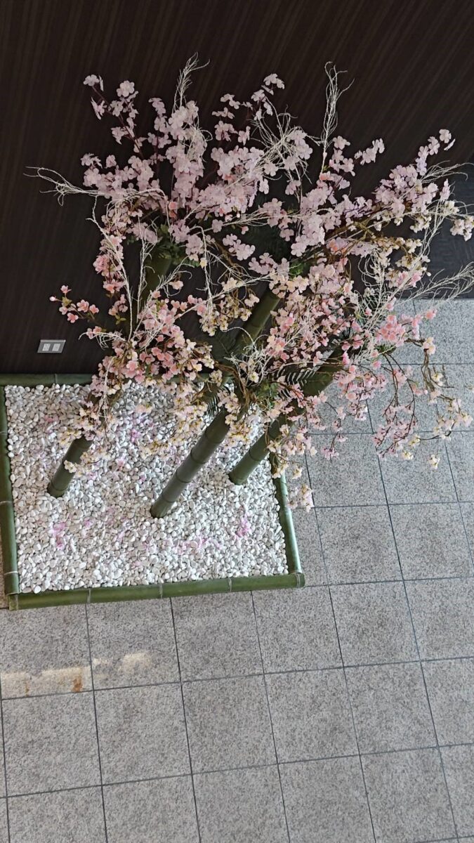 Casa Hotel Shinshirakawa｜新白河站步行2分鐘・商務觀光飯店 photo