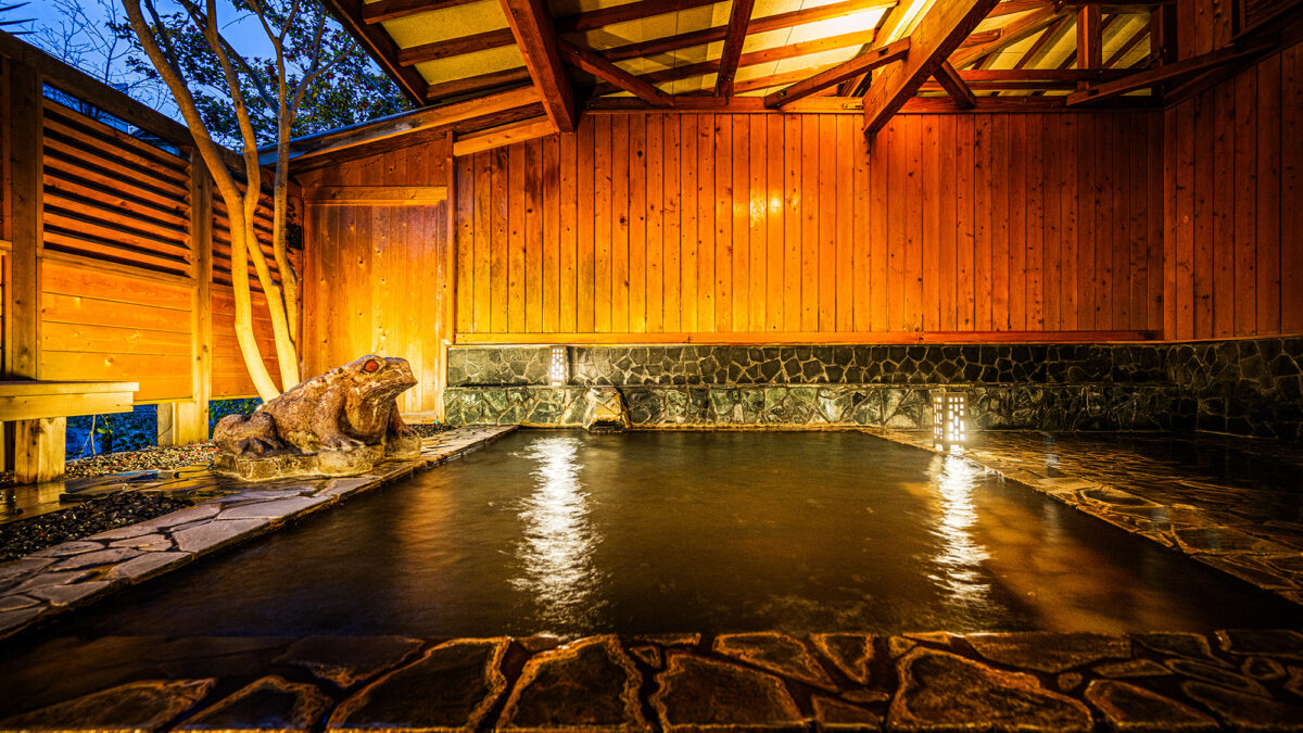 Hotel Tenryukaku｜福島飯坂溫泉旅館 / 時令懷石與柔和溫泉 photo