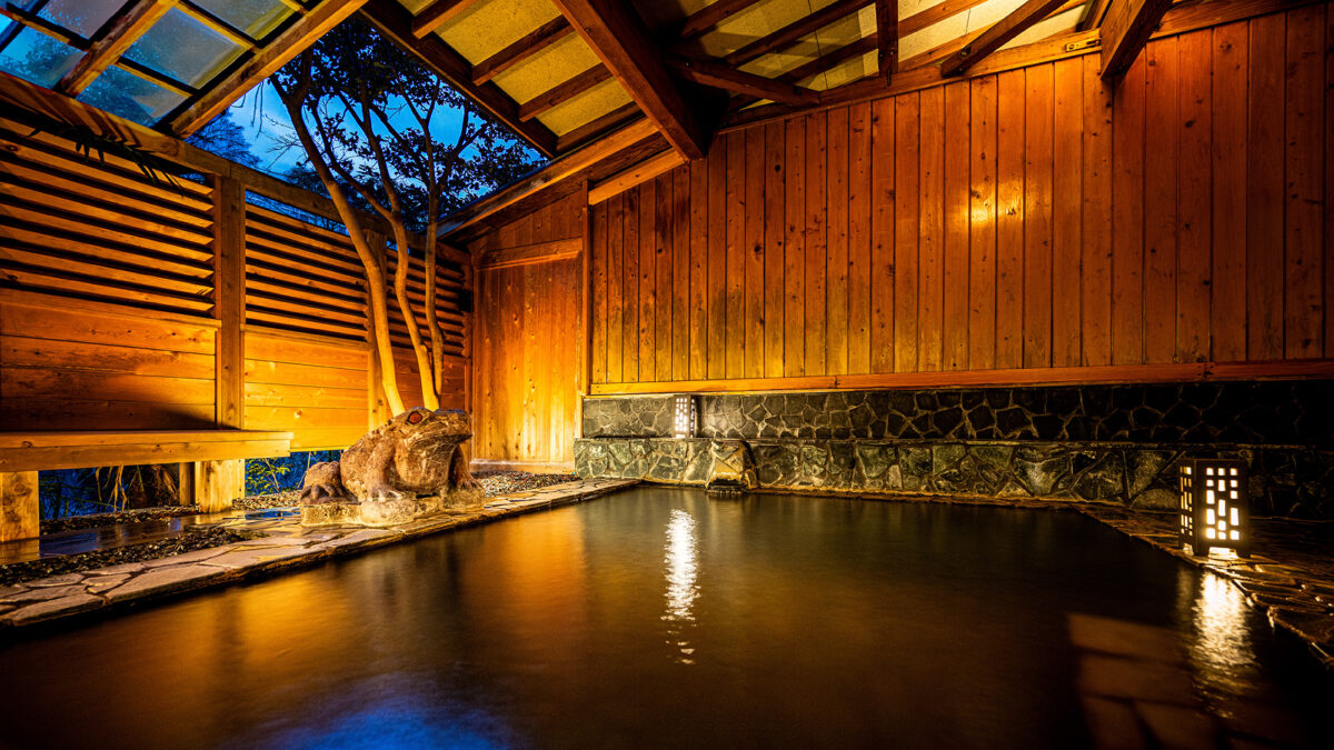 Hotel Tenryukaku｜福島飯坂溫泉旅館 / 時令懷石與柔和溫泉 photo