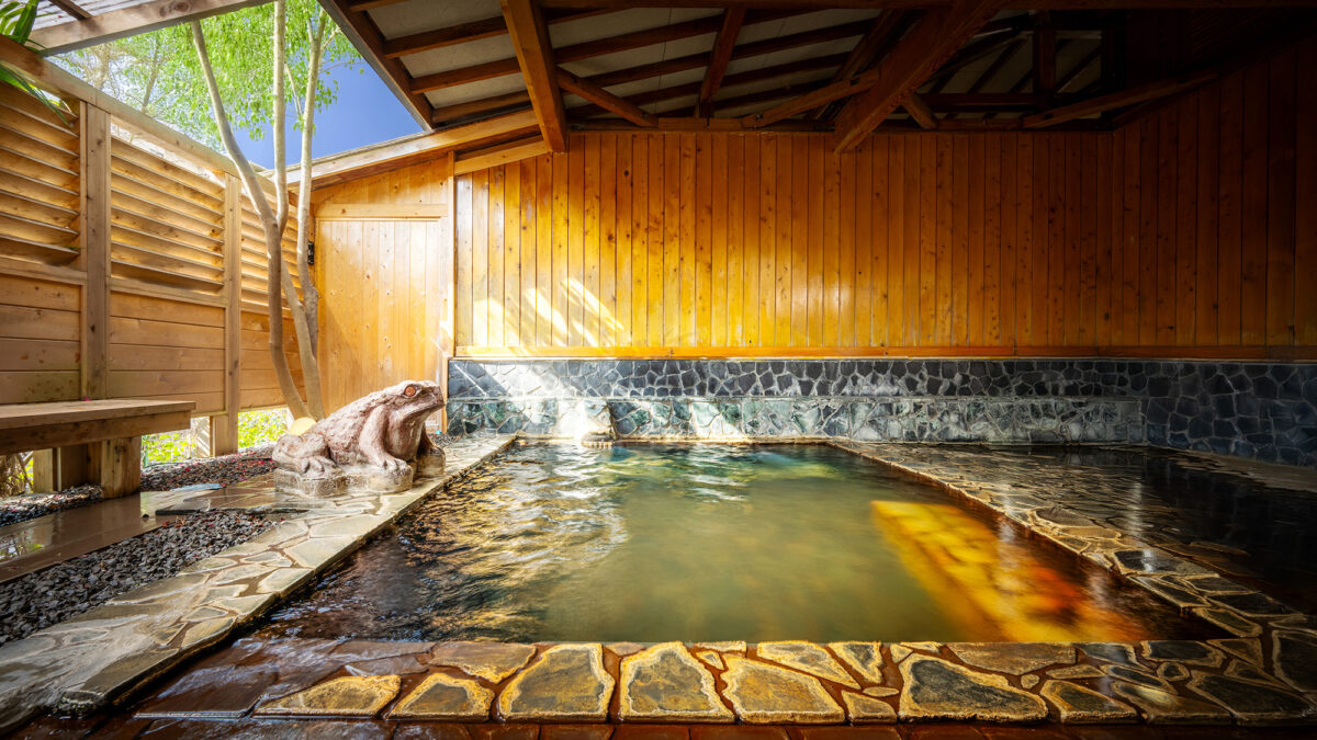 Hotel Tenryukaku｜福島飯坂溫泉旅館 / 時令懷石與柔和溫泉 photo