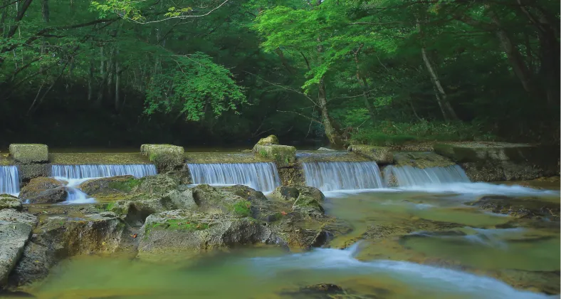 逢滝