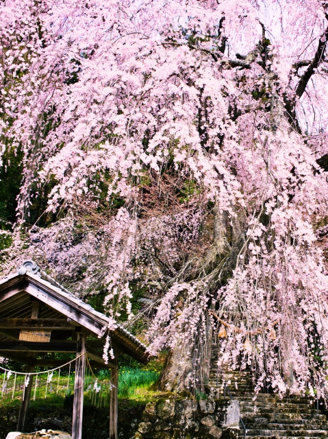 森山神社