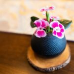 鶯宿温泉 川長 photo