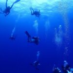 TATSUKUSHI DIVING CENTER