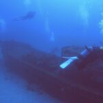 Dragon Lady｜下田白浜のPADI 5スターIDCリゾート・体験ダイビング