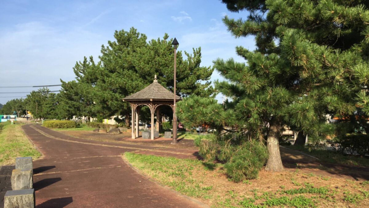 TAMA HOTEL｜愛貓人士住宿 / 貓咪互動晚餐秀與貓島交通 photo