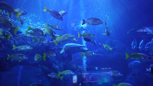 錦浦館
