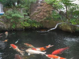 お宿 いぐち｜飛騨高山の全6室温泉宿・朝市近くの郷土料理 photo