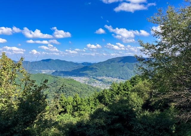 宝登山