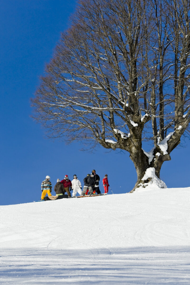 四季の宿　アルファイン　秀雲荘